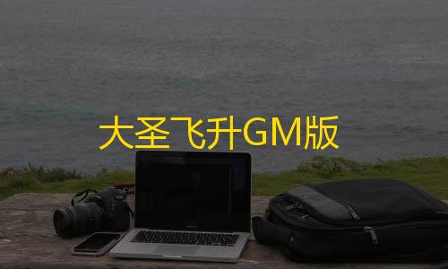 cos辅助器直装大圣飞升GM版